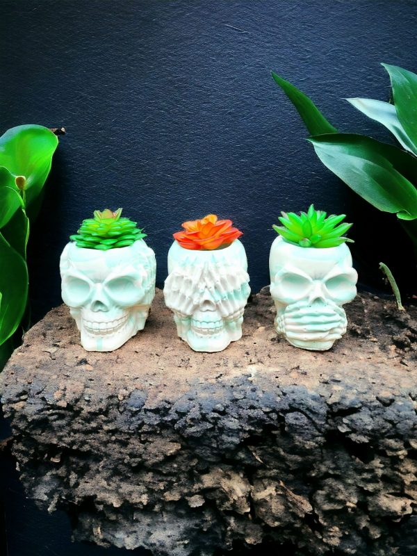 Skull Resin Pot