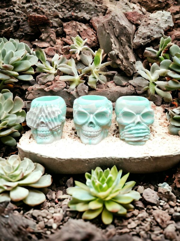 Skull Resin Pot - Image 5