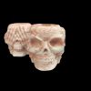 Skull  Resin Pot - Image 2