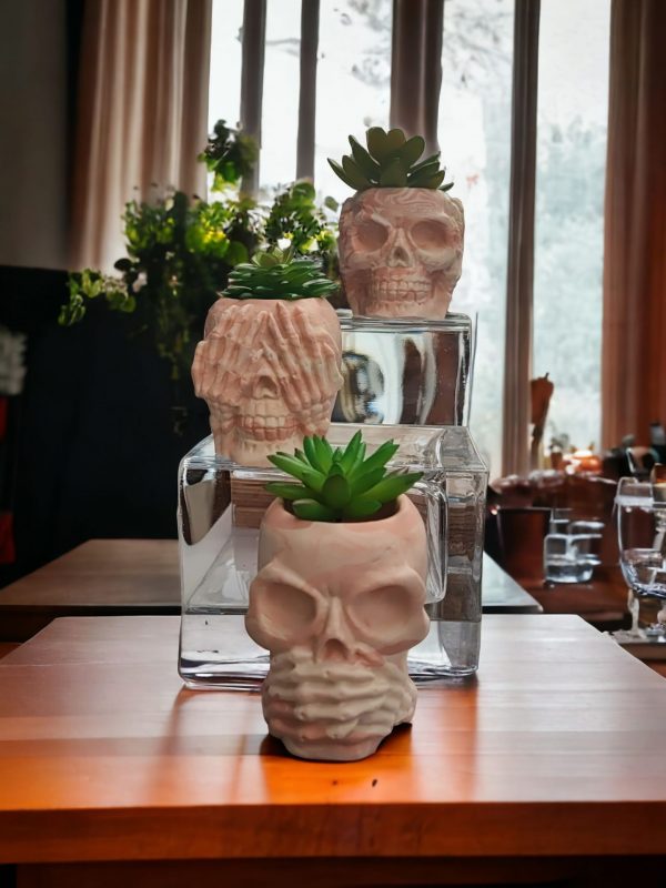 Skull  Resin Pot - Image 11