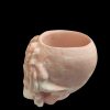 Skull  Resin Pot - Image 4