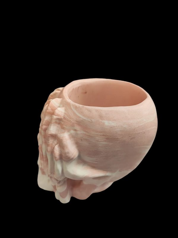 Skull  Resin Pot - Image 4
