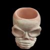 Skull  Resin Pot - Image 3
