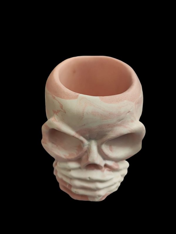 Skull  Resin Pot - Image 3