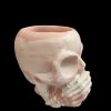 Skull  Resin Pot - Image 5