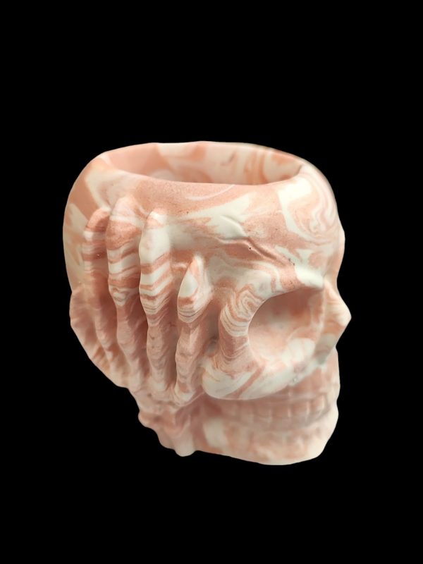 Skull  Resin Pot - Image 7