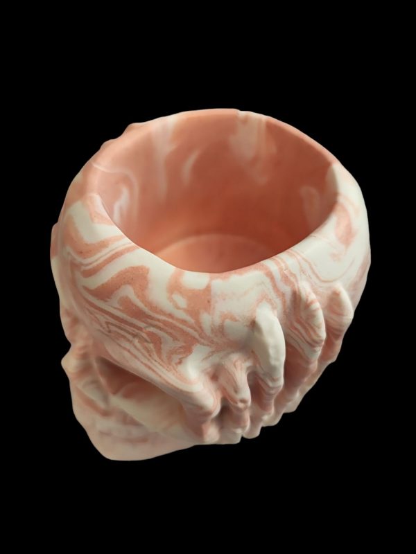 Skull  Resin Pot - Image 8