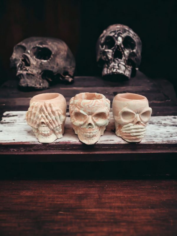 Skull  Resin Pot