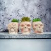 Skull  Resin Pot - Image 10
