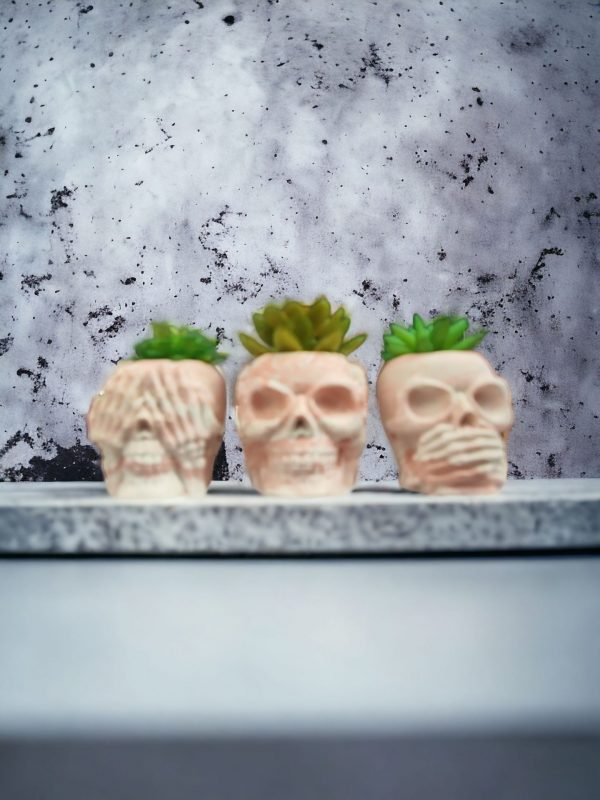 Skull  Resin Pot - Image 10