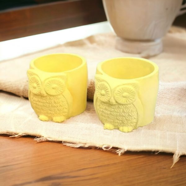 Owl Succulent Plant Flower Pot - Image 2