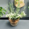 Hand-decorated flower pot with clay embellishments