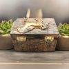 Gold Horse Small Jewellery Handcrafted Wooden Box - Image 6