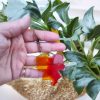 Gemini Resin Keyring, Hand-crafted, Zodiac Sign - Image 3