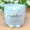 White Owl Succulent Plant Flower Pot