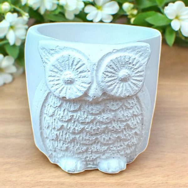White Owl Succulent Plant Flower Pot