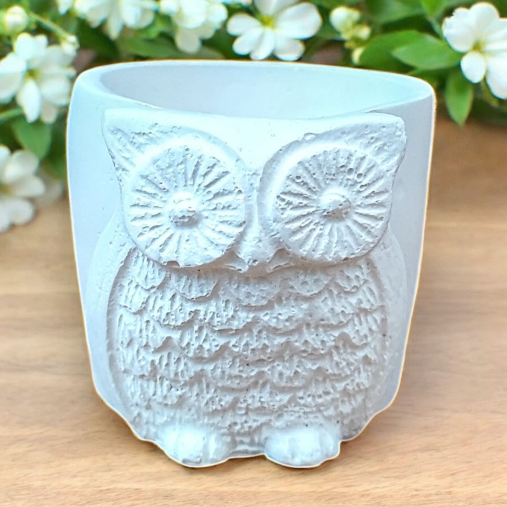 White Owl Succulent Plant Flower Pot
