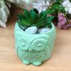 Owl Flower Pot