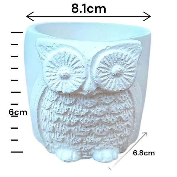 White Owl Succulent Plant Flower Pot - Image 5