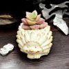 Hedgehog Succulent Plant Flower Pot, Matte Gypsum Plaster Pot, Animal Planter