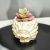 Hedgehog Succulent Plant Flower Pot, Matte Gypsum Plaster Pot, Animal Planter - Image 2