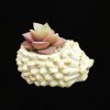 Hedgehog Succulent Plant Flower Pot, Matte Gypsum Plaster Pot, Animal Planter - Image 3